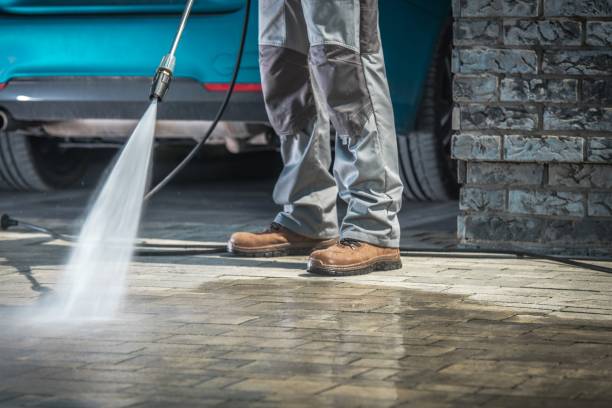 Best Paint Preparation  in Saline, MI