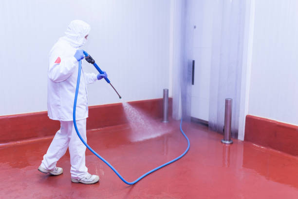 Best Rust Removal  in Saline, MI