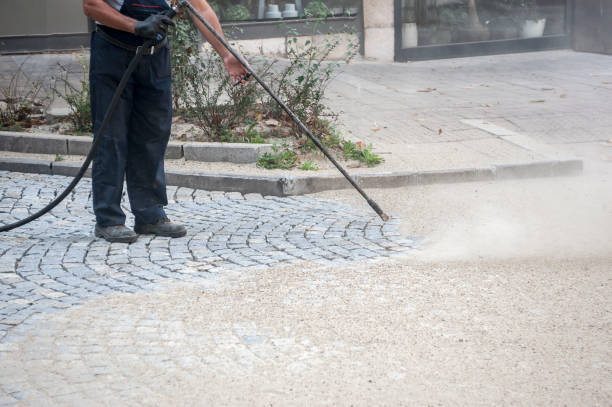 Best House Exterior Washing  in Saline, MI