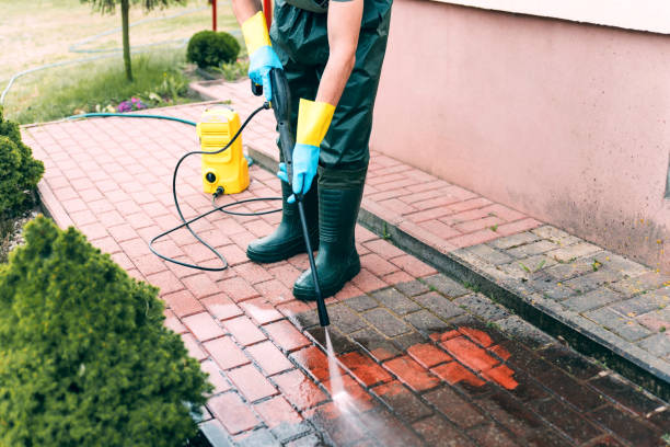 Best Driveway Pressure Washing  in Saline, MI