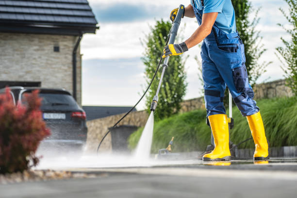 Animal Enclosure Cleaning in Saline, MI