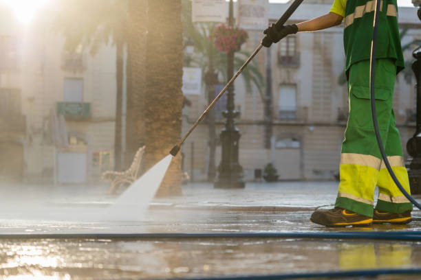 Best Roof Washing  in Saline, MI